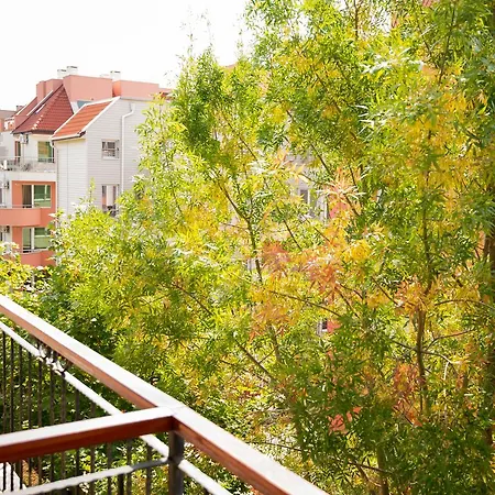 Family Apolon Hotel 2*